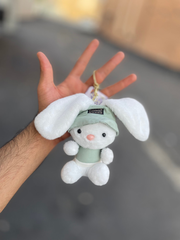 جاکلیدی خرگوش پشمالو