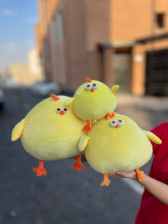 جوجه چشم قلمبه اورجینال