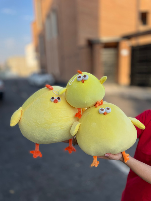 جوجه چشم قلمبه اورجینال