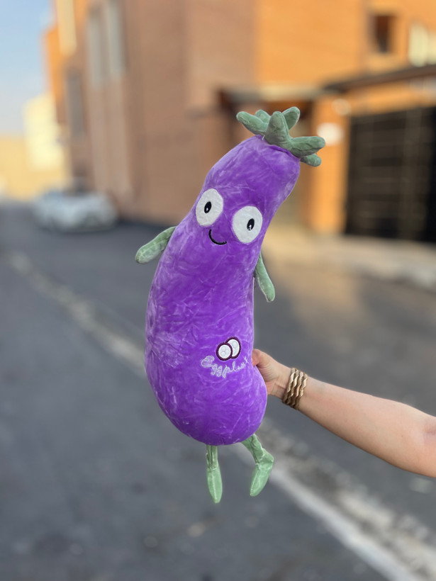 بادمجان نانو بالشتی