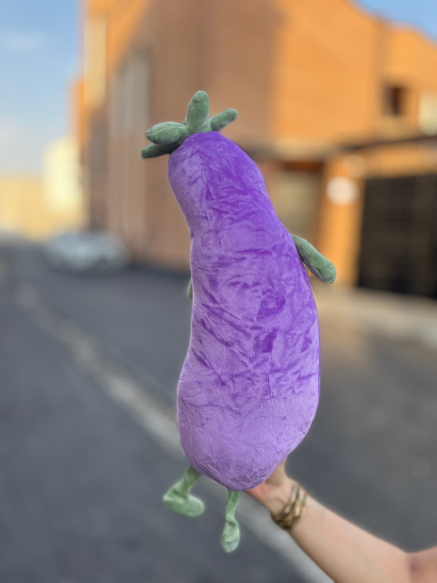 بادمجان نانو بالشتی