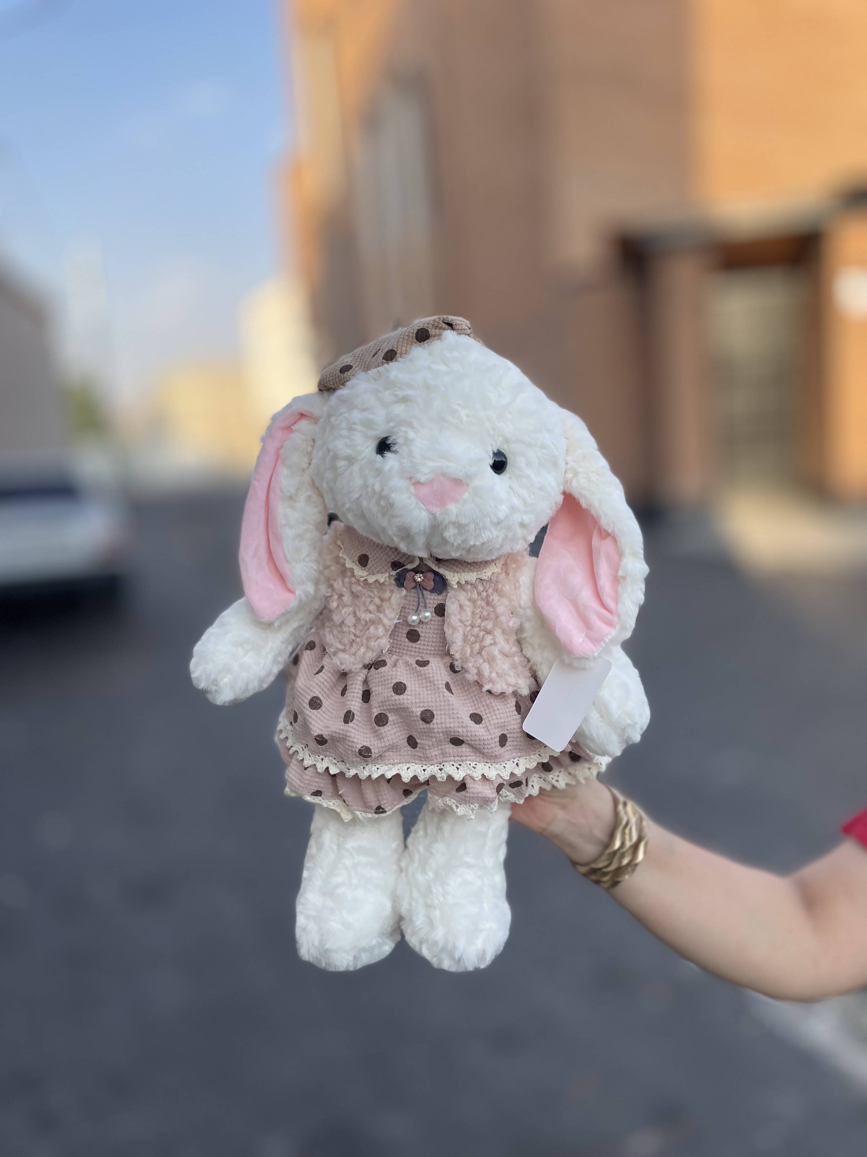 خرگوش لباس بیسکویتی