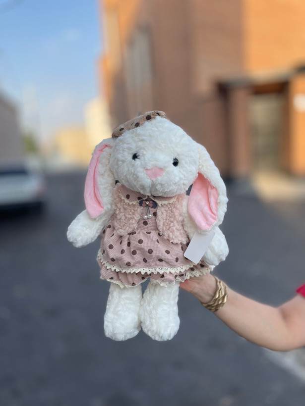 خرگوش لباس بیسکویتی
