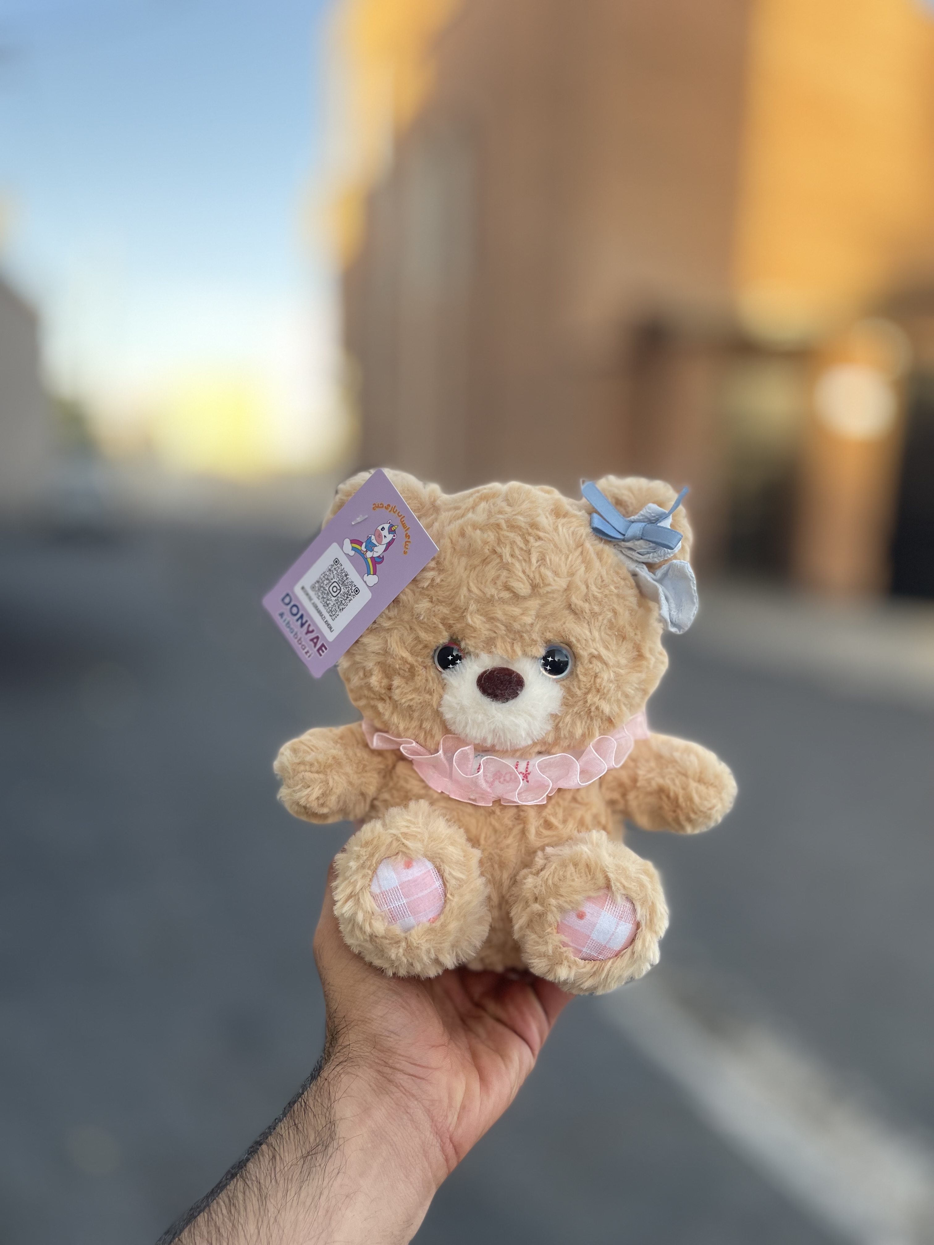 خرس ملوس پشیبندار