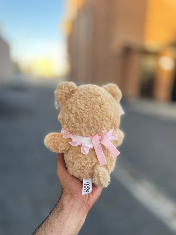 خرس ملوس پشیبندار