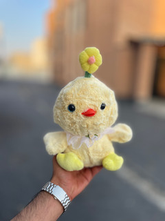 جوجه گل به سر نوک پلاستیکی