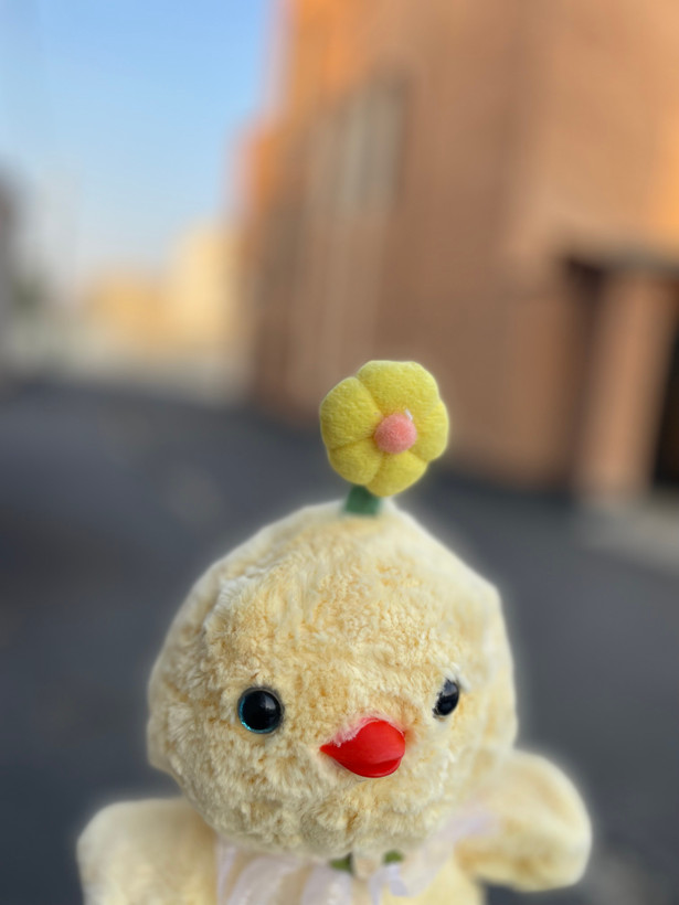 جوجه گل به سر نوک پلاستیکی