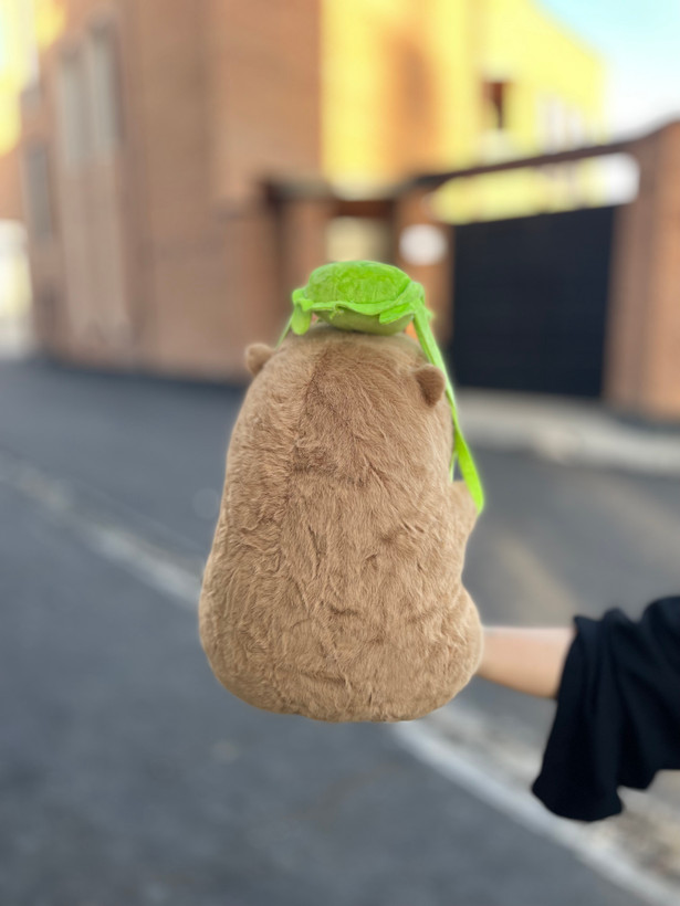 کاپی بارا کوله لاکپشتی
