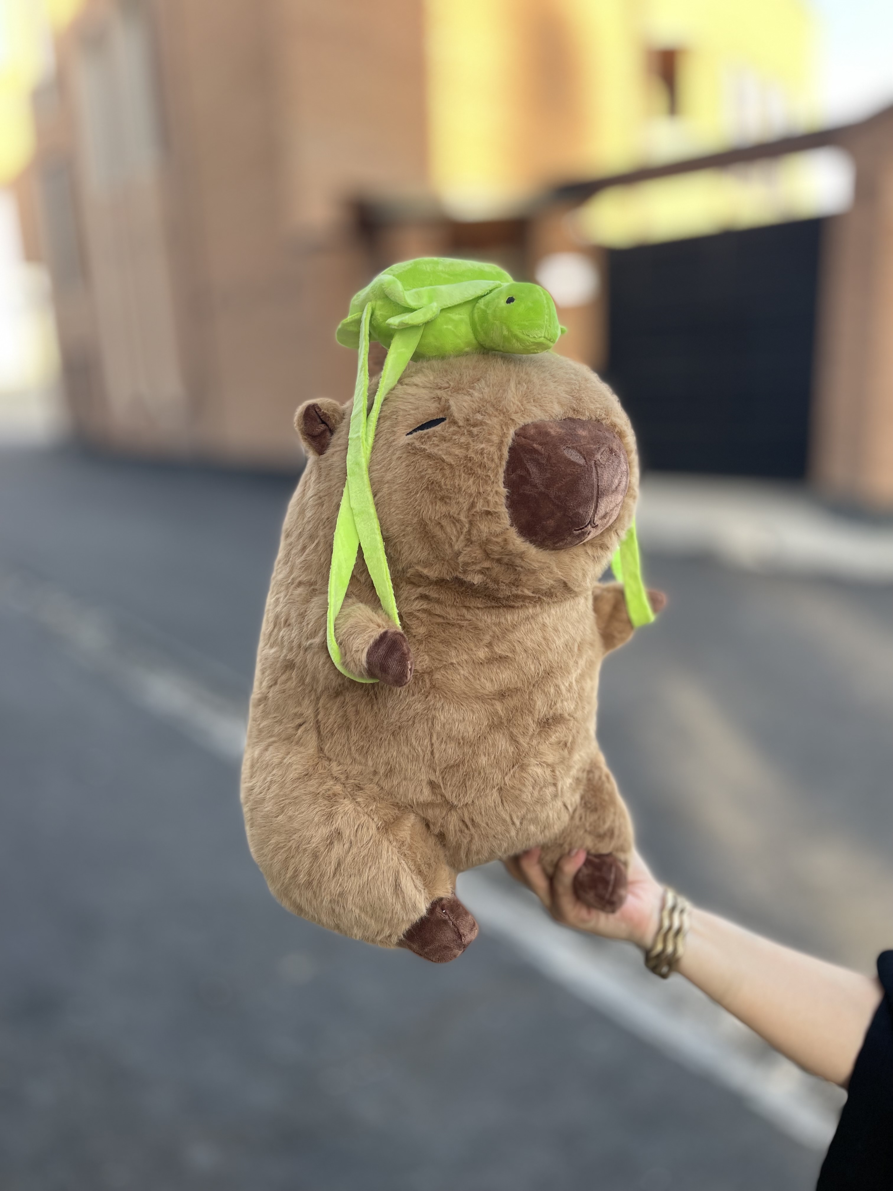 کاپی بارا کوله لاکپشتی