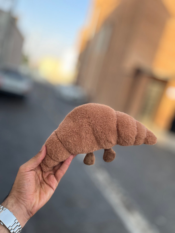 کروسان پشمالو