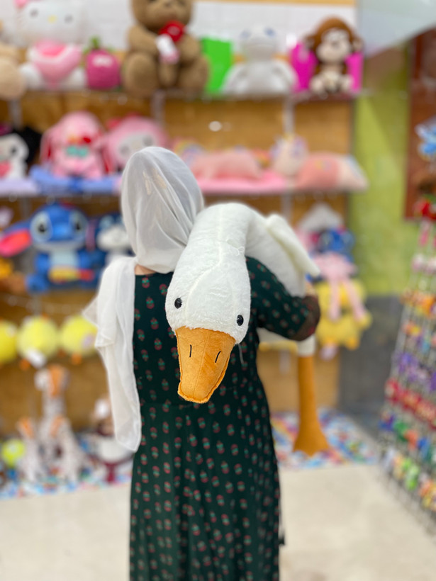 غاز بالشتی