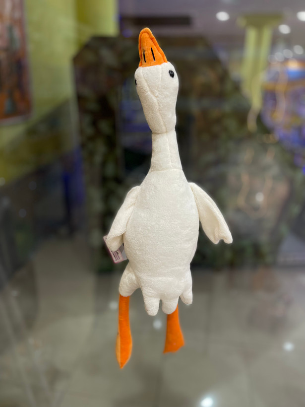 غاز بالشتی