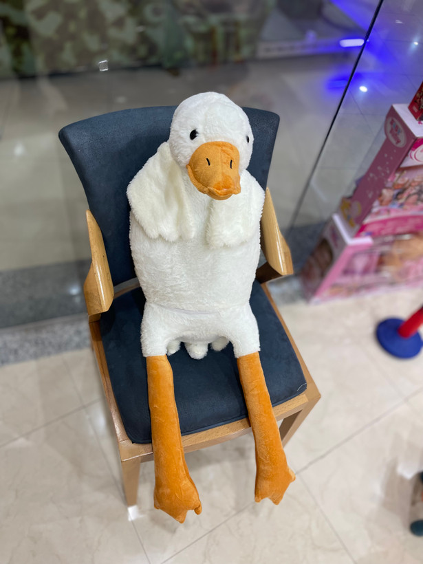 غاز بالشتی