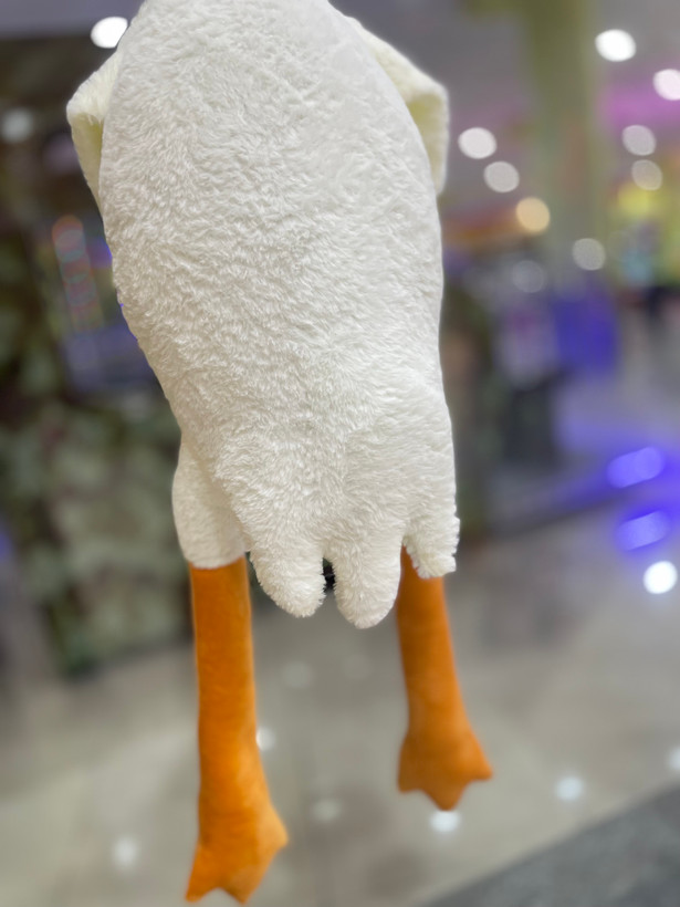 غاز بالشتی