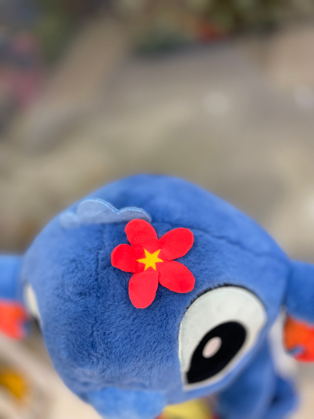 استیج گیتار به دست
